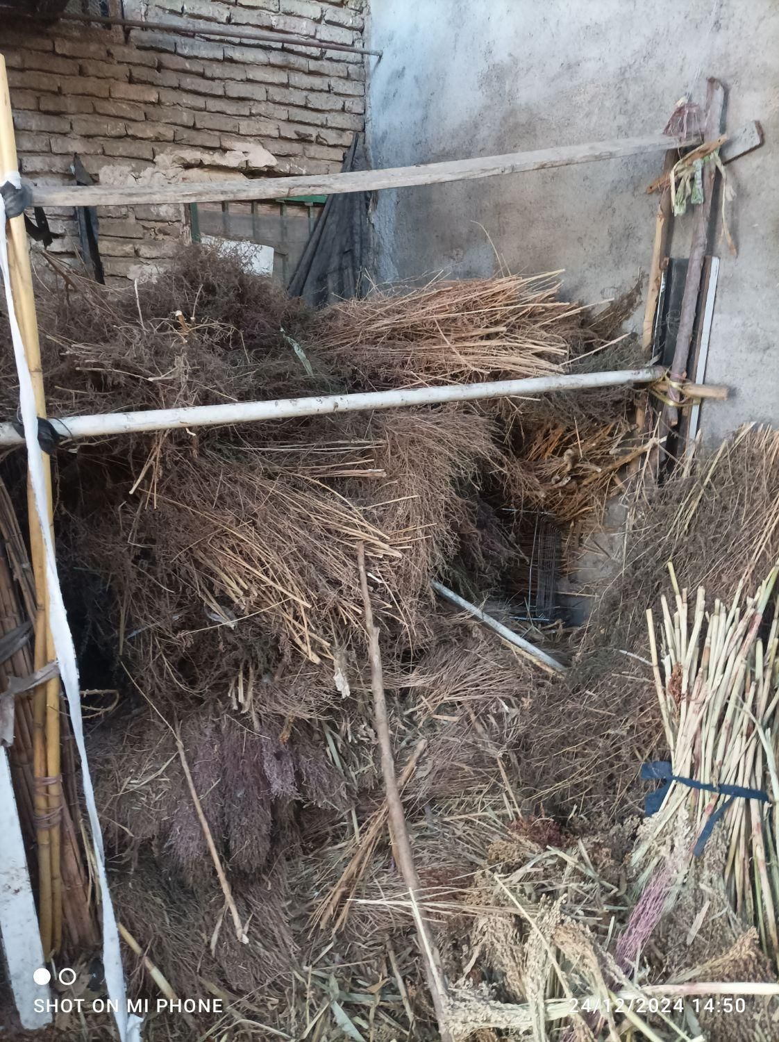 فروش جارو دستی،سیخی،جارو شهرداری،کلی جزیی درجه یک|لوازم نظافت|مشهد, طلاب|دیوار