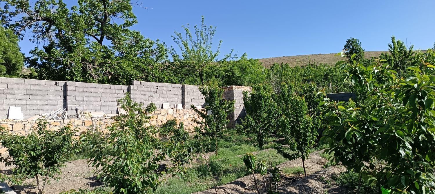 باغ فروش زمین دور دیوار  روستای کاهو  ۷۱۰ متری|فروش زمین و ملک کلنگی|مشهد, وکیل‌آباد|دیوار