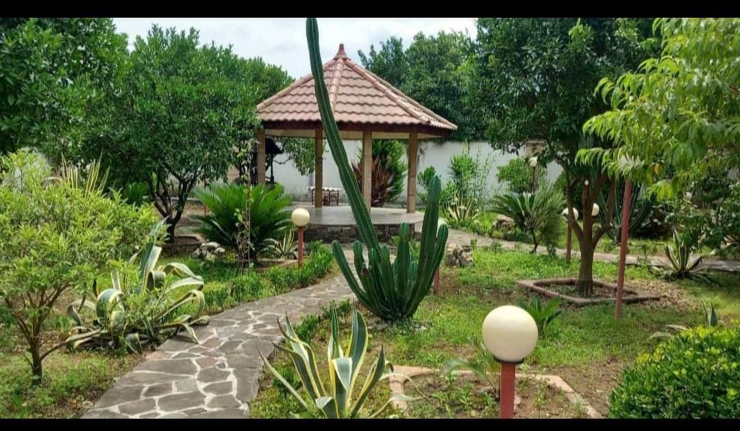 نیازمند سازنده برای مشارکت در ساخت کلنگی ونک|مشارکت در ساخت املاک|تهران, توحید|دیوار