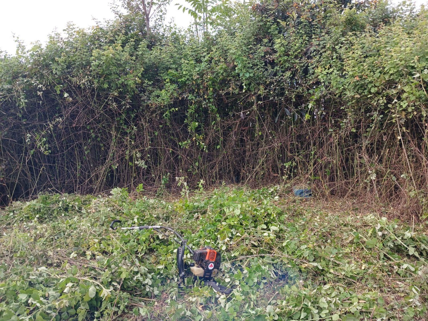 خدمات علف تراشی و قطع چوب و حرص درخت|خدمات باغبانی و درختکاری|قائمشهر, |دیوار