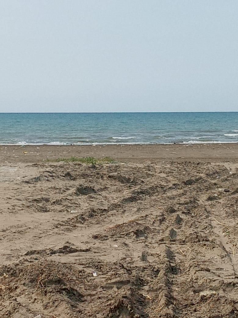 سوییت تکخواب داخل شهرک برند(ایزدشهر)نور|اجارهٔ کوتاه‌مدت آپارتمان و سوئیت|چمستان, |دیوار