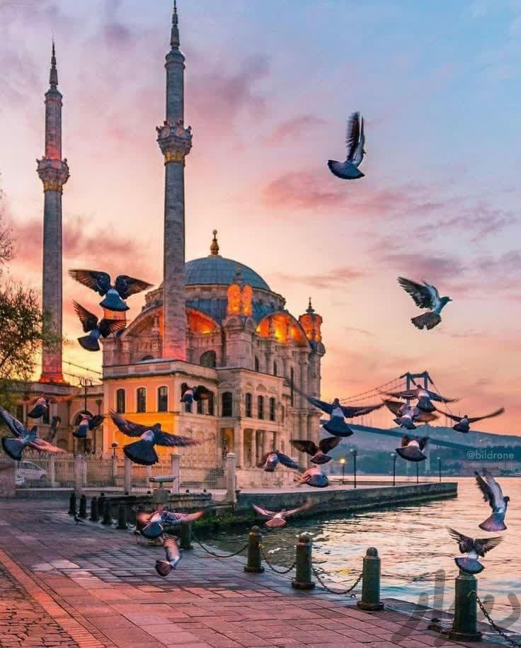 تور زیبا استانبول / اقسطی|تور و چارتر|رشت, نظری|دیوار
