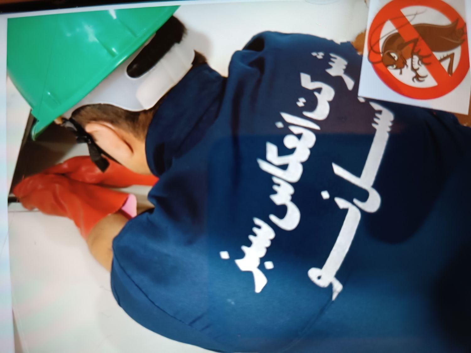 سمپاشی و طعمه گذاری تضمینی ،سوسک و موش،سم پاشی|خدمات نظافت|ارومیه, |دیوار