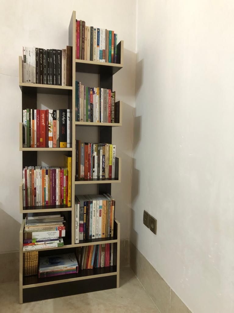 کتابخانه و بوفه طرح کاکتوس|کتابخانه، شلف، قفسه‌های دیواری|شیراز, تندگویان|دیوار