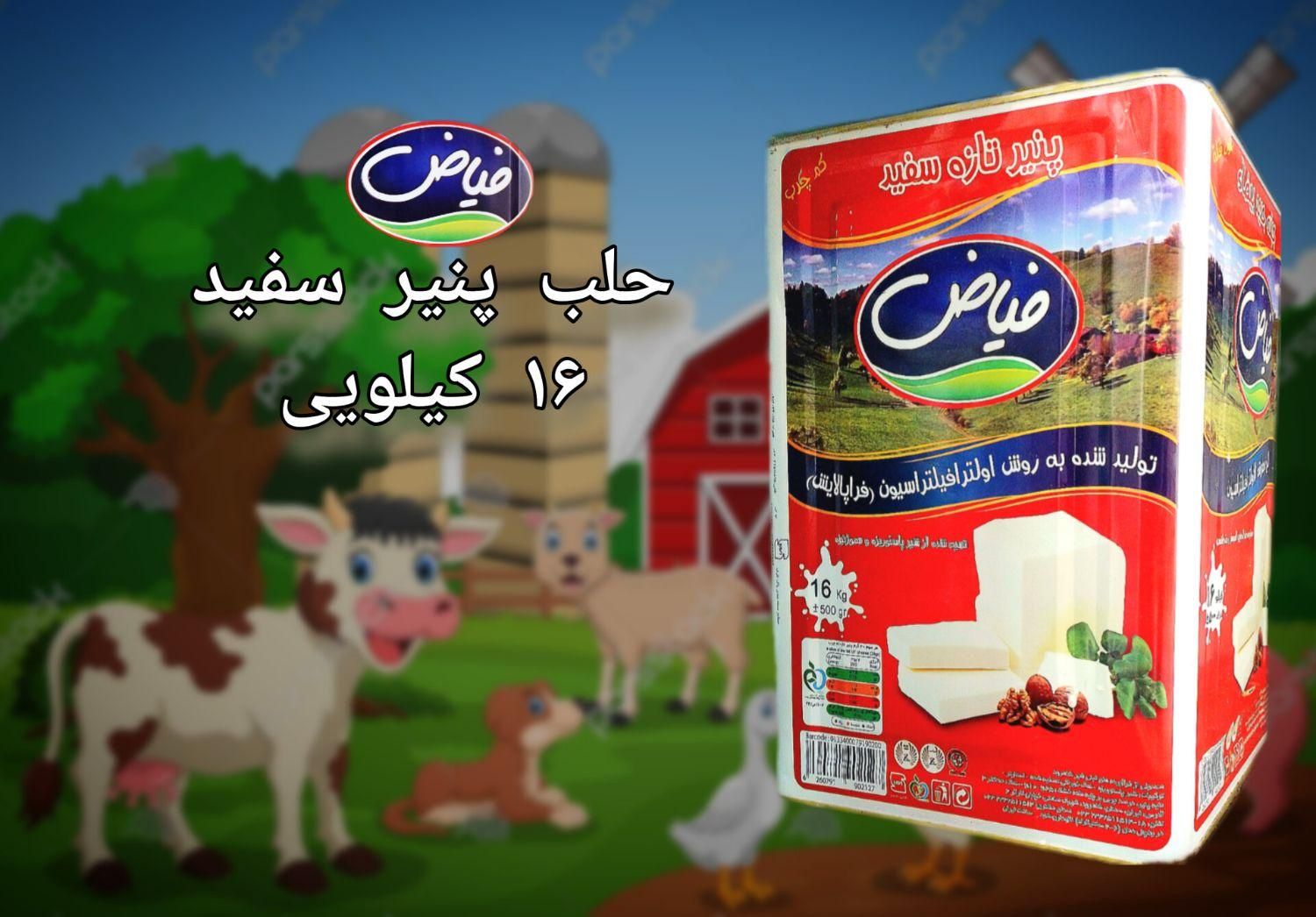 عرضه خامه و پنیر   به صورت مستقیم از کارخانه|خوردنی و آشامیدنی|تهران, خاک سفید|دیوار