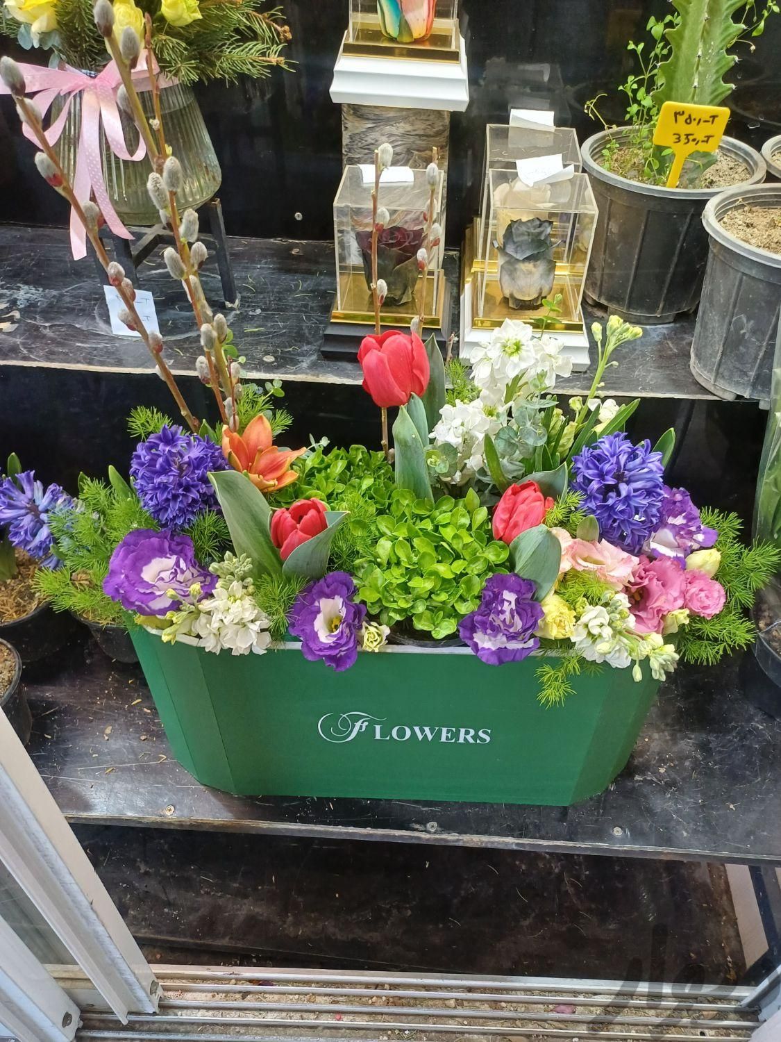 فروشنده گل و گیاه|استخدام بازاریابی و فروش|تهران, زرگنده|دیوار