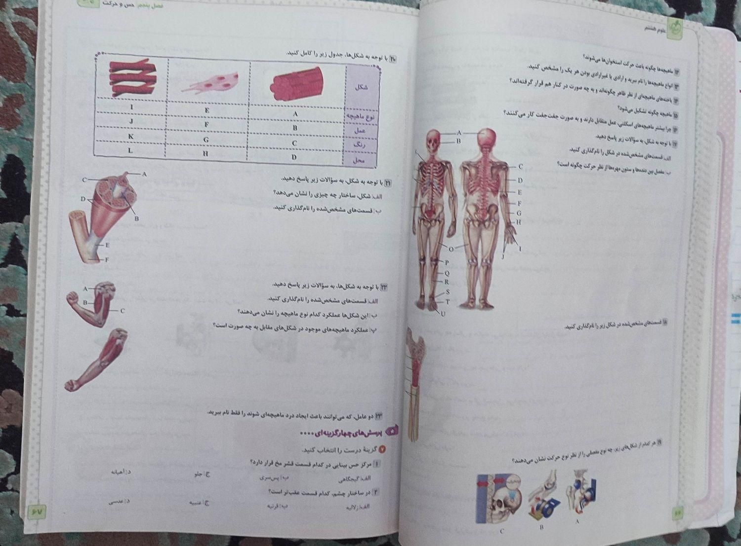 ماجرای بیست علوم خیلی سبز هشتم|کتاب و مجله آموزشی|تهران, نارمک|دیوار