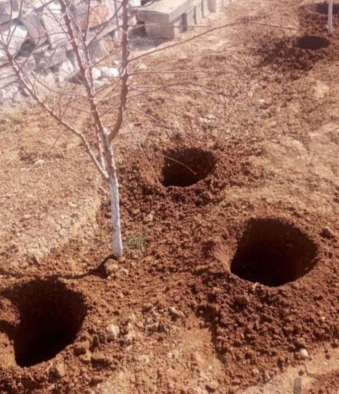 کود چاله کن تکنو فارمر|ماشینآلات صنعتی|تهران, دستغیب|دیوار