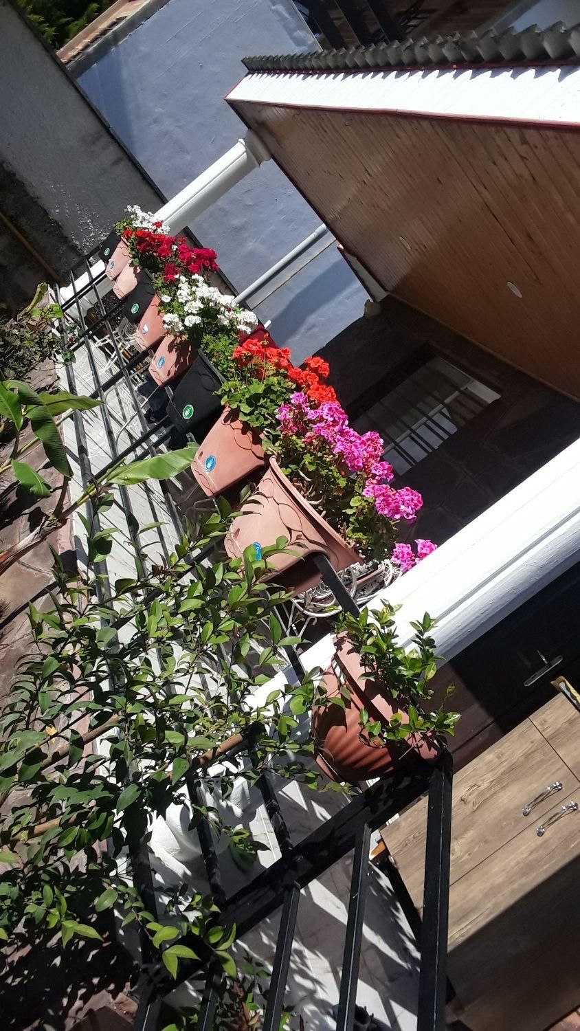 خدمات باغبانی|خدمات باغبانی و درختکاری|نوشهر, |دیوار