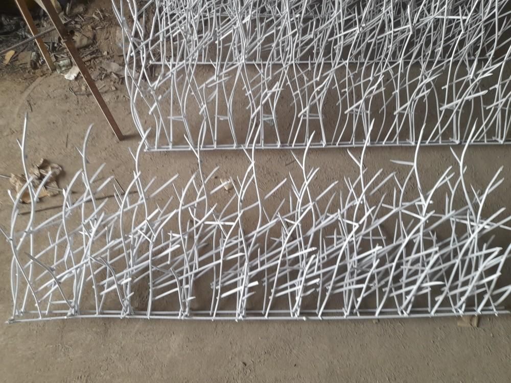 حفاظ روی دیوار بوته خاری شاخ گوزنی آکاردئونی پنجره|خدمات پیشه و مهارت|مشهد, شهرک رازی (شهرک غرب)|دیوار