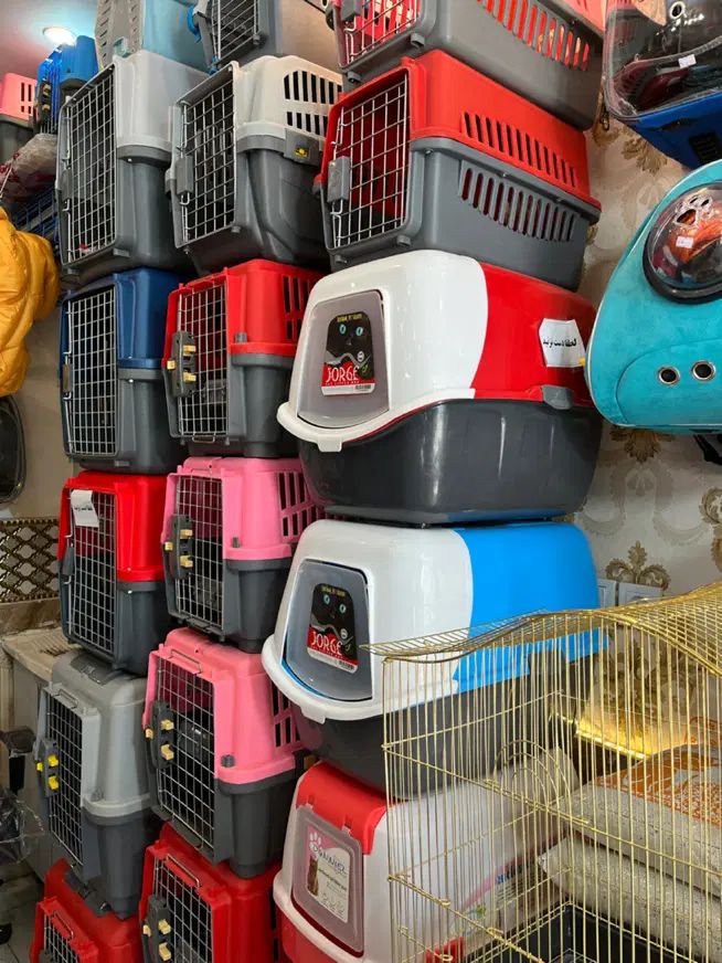 لبه دار مسقف کوچک|لوازم جانبی حیوانات|مشهد, گلبرگ|دیوار