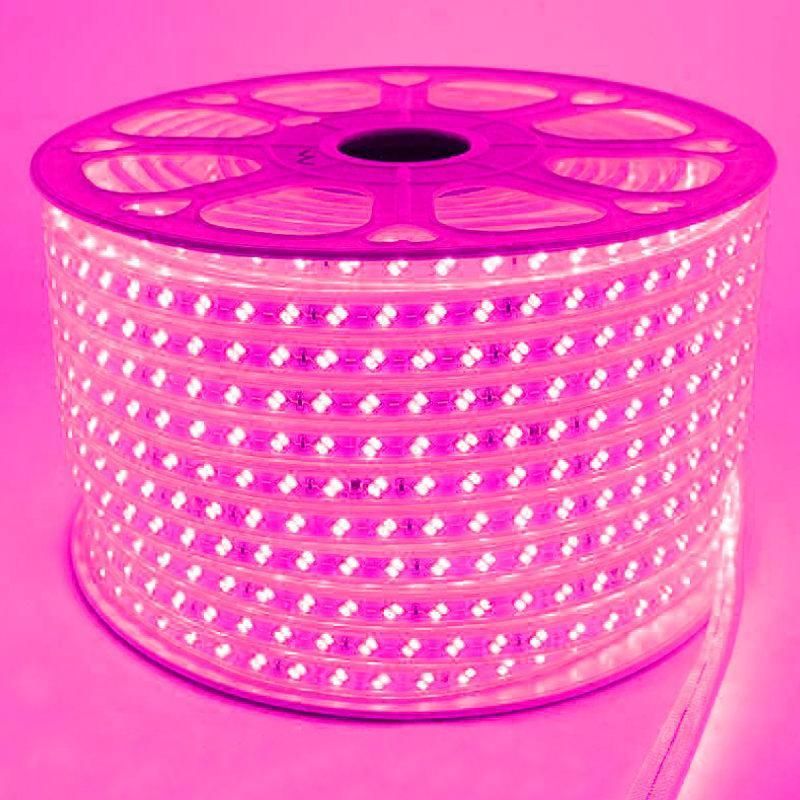 ریسه شلنگی smd دولاین تراکم بالا|ریسه و چراغ تزئینی|رشت, دباغیان|دیوار