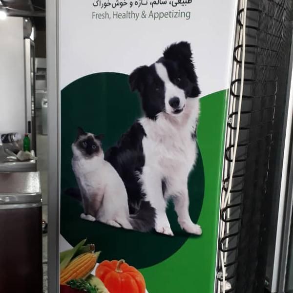 یخچال ویترینی تک درب شیر و ماست|فروشگاه و مغازه|بندر ماهشهر, |دیوار