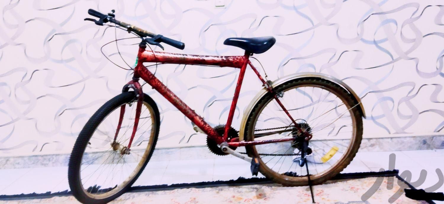 دچرخه المپیا 26|دوچرخه، اسکیت، اسکوتر|کرج, شهرک البرز|دیوار