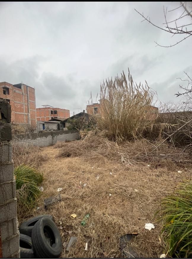 زمین مسکونی ۱۸۷متر سند تک برگ کیاکلا|فروش زمین و ملک کلنگی|کیاکلا, |دیوار