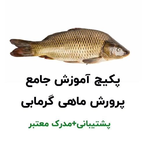 پکیج آموزشی پرورش ماهی گرمابی|کتاب و مجله آموزشی|تهران, نجات اللهی|دیوار