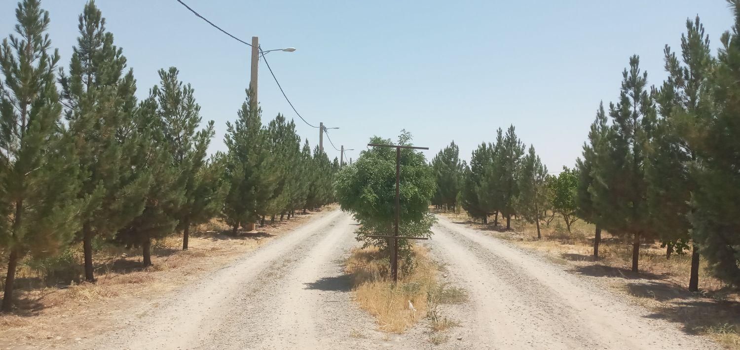 باغچه ۵۰۵ متری سنددار در سهیلیه زعفرانیه|فروش زمین و ملک کلنگی|کرج, فاز ۲ مهرشهر|دیوار