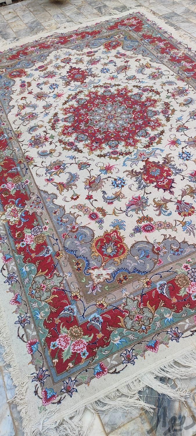 تولیدکننده انواع فرش دستبافت ایرانی|فرش|مشهد, آزادشهر|دیوار