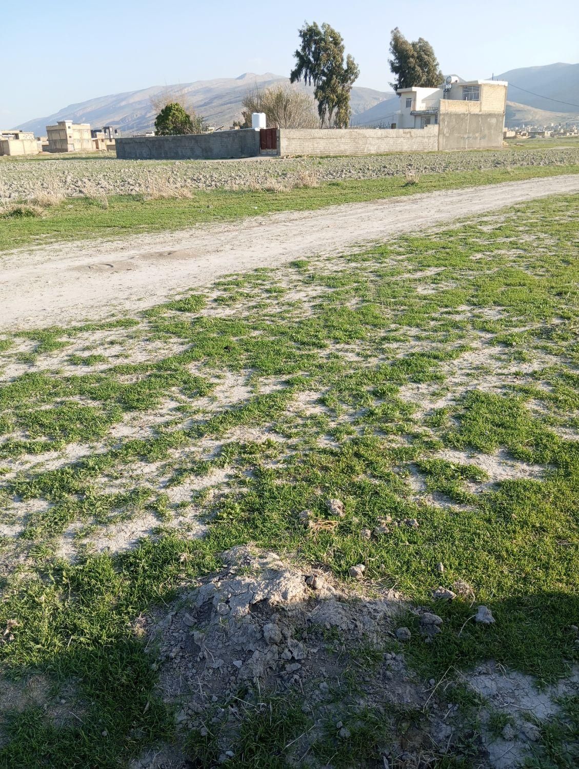 فروش زمین  آخر کرونی جمال آباد خیابان شوره زار|فروش زمین و ملک کلنگی|شیراز, حجت آباد|دیوار