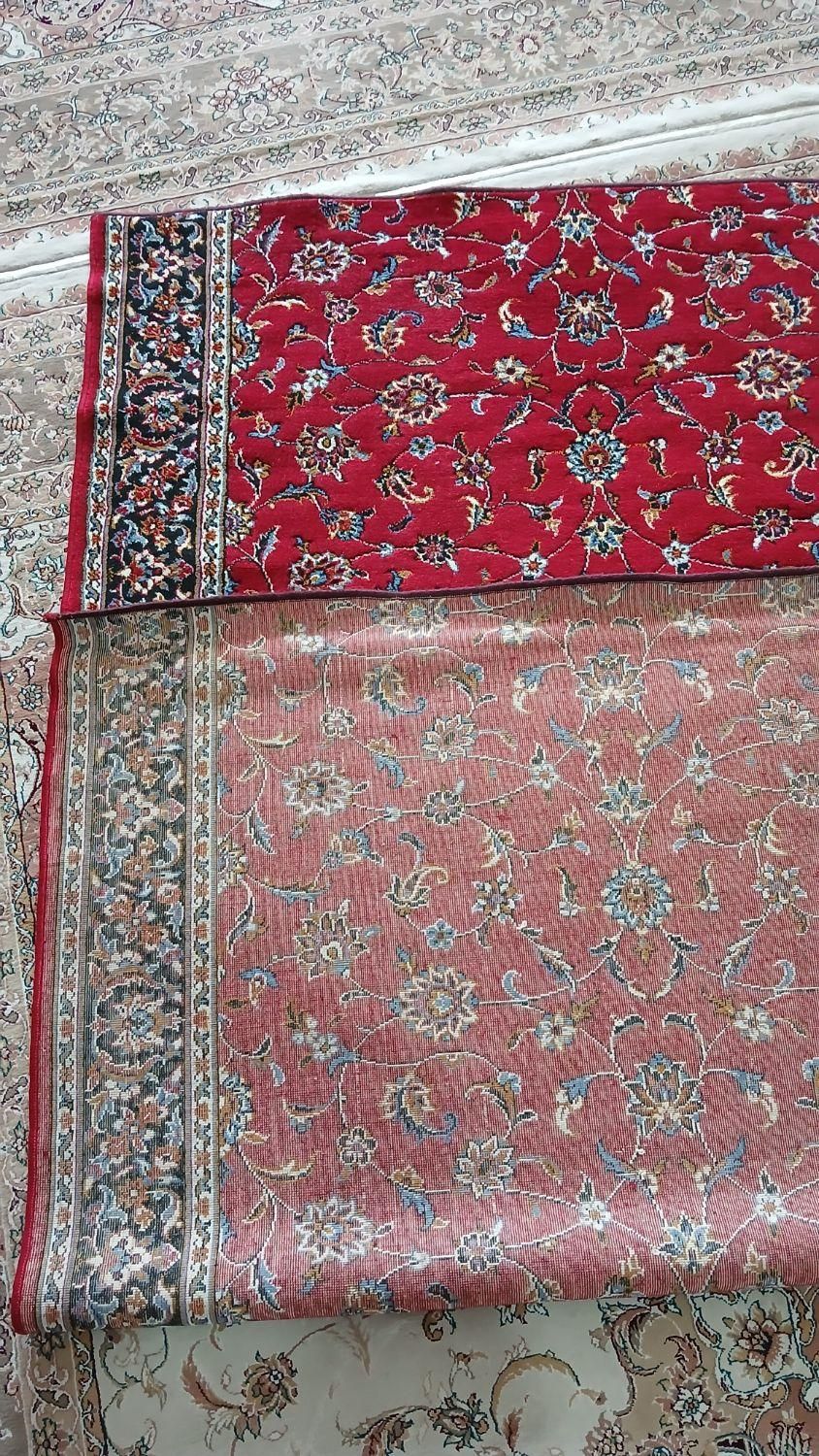 کناره فرش|فرش|کرمانشاه, |دیوار