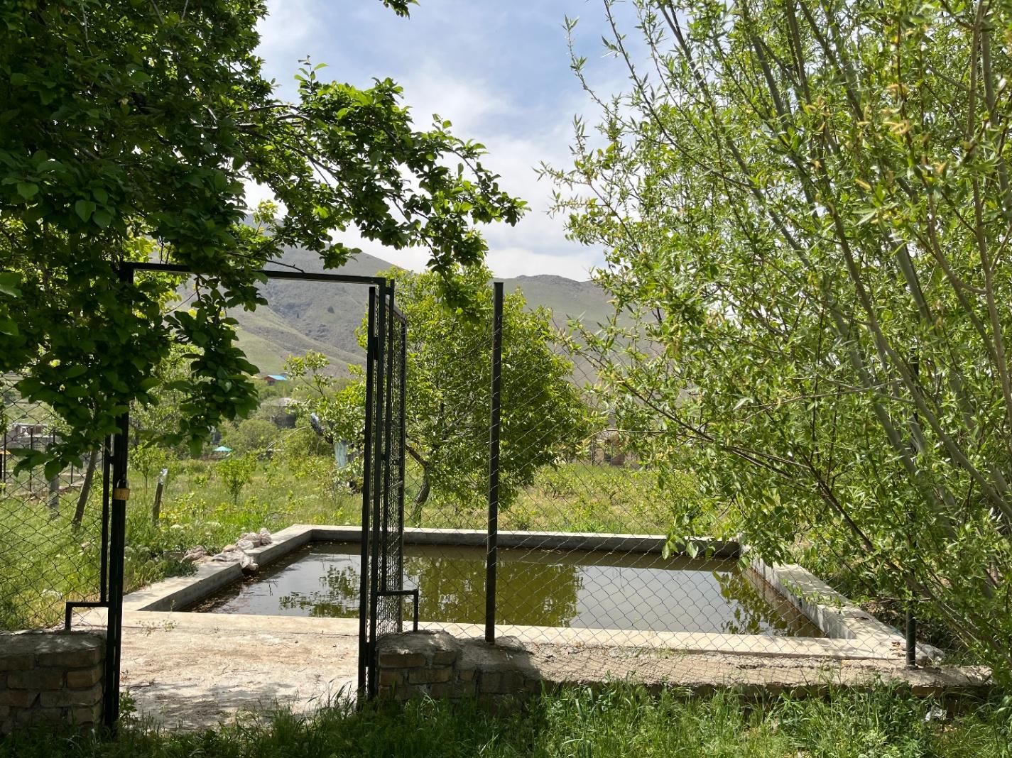 فروش ویژه باغ- در طالقان روستای آقچری (سند تک برگ)|فروش زمین و ملک کلنگی|طالقان, |دیوار