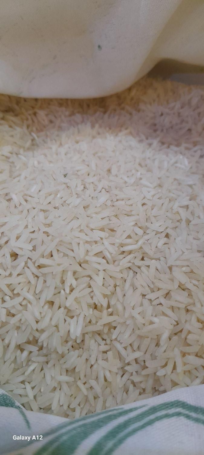 برنج فجر مجلسی شمالی|خوردنی و آشامیدنی|اصفهان, رزمندگان|دیوار