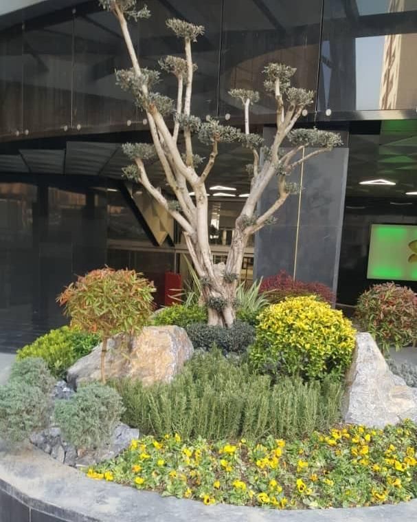 باغبانی هرس درخت گل ،چمن،سم پاشی،کودضمانت باغبان|خدمات باغبانی و درختکاری|کرج, گلشهر|دیوار