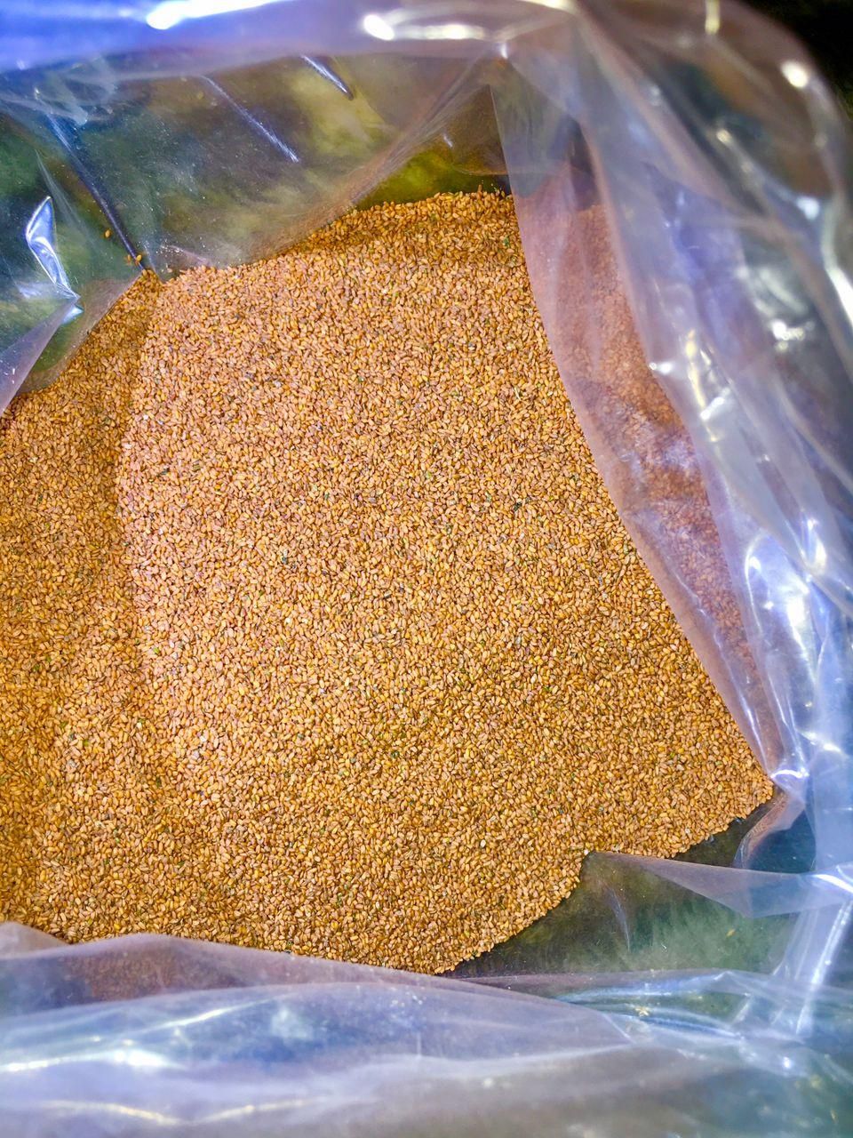 آغاز فروش خاکشیر|خدمات باغبانی و درختکاری|اصفهان, باغ فردوس|دیوار