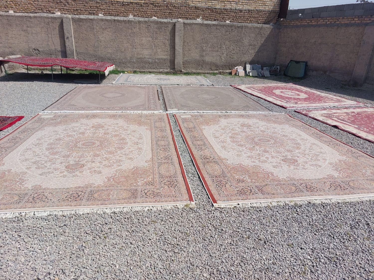 قالیشویی قوچان|خدمات نظافت|قوچان, |دیوار