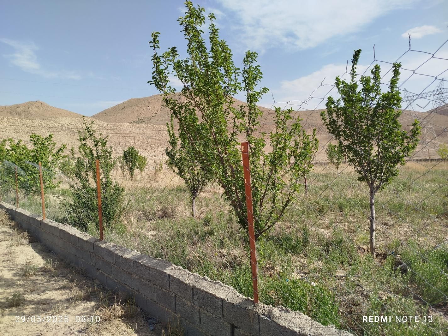 فروش باغ سنددار درنمرودمعاوضه باآپارتمان و خودرو.|فروش دفتر صنعتی، کشاورزی، تجاری|فیروزکوه, |دیوار