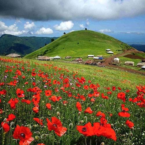 کامل ترین تور گروهی گیلان گردی با ۱۲ گشت متنوع|تور و چارتر|مشهد, ده دی|دیوار