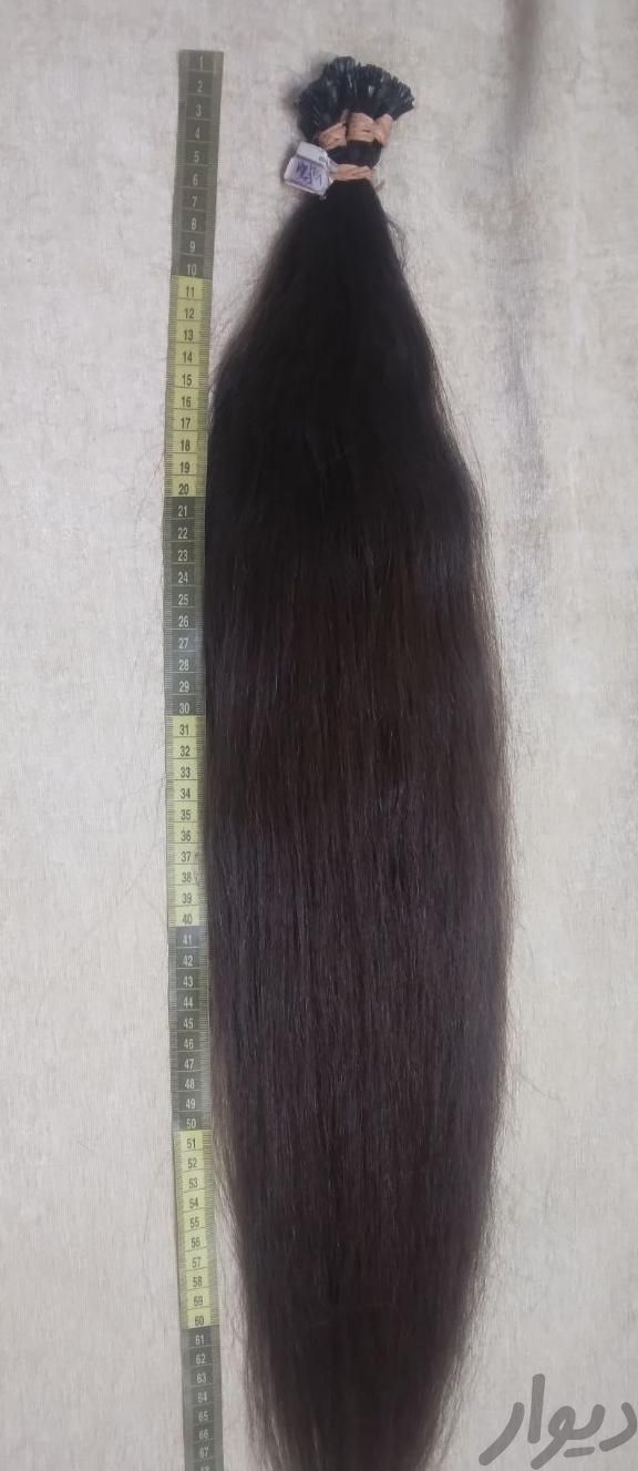موی طبیعی ۶۵ سانت ۲۵۰ شاخه|وسایل آرایشی، بهداشتی و درمانی|تهران, تهرانپارس غربی|دیوار