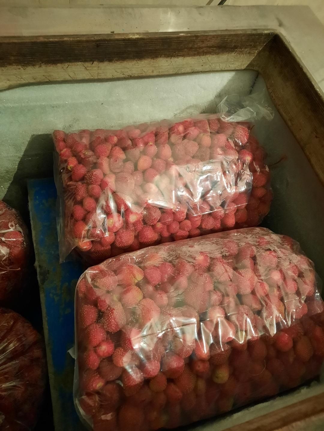 انبه فریز|خوردنی و آشامیدنی|تهران, خانی آباد نو جنوبی|دیوار