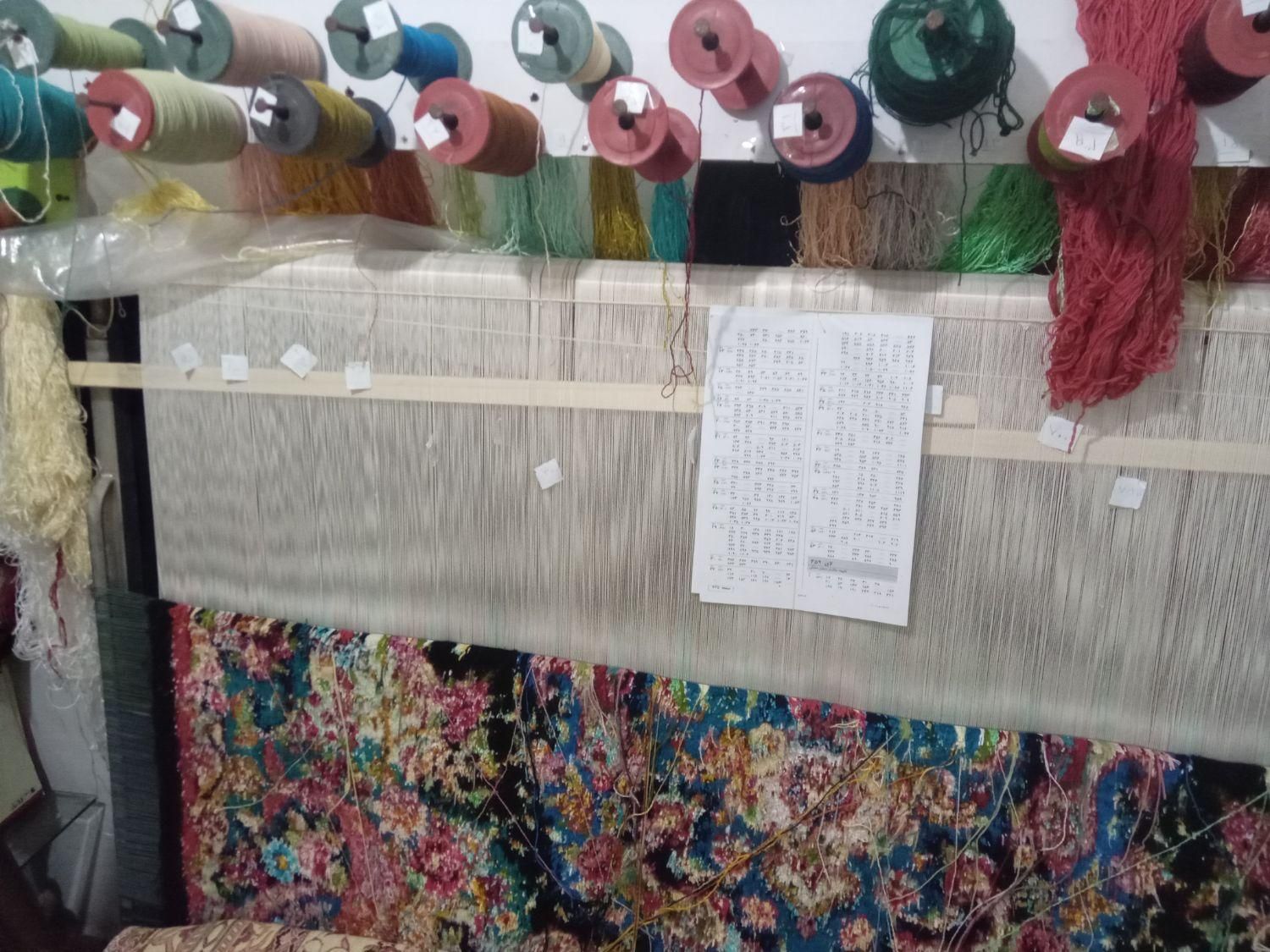 قالیچه سالاری نیمه کاره|فرش|تبریز, |دیوار