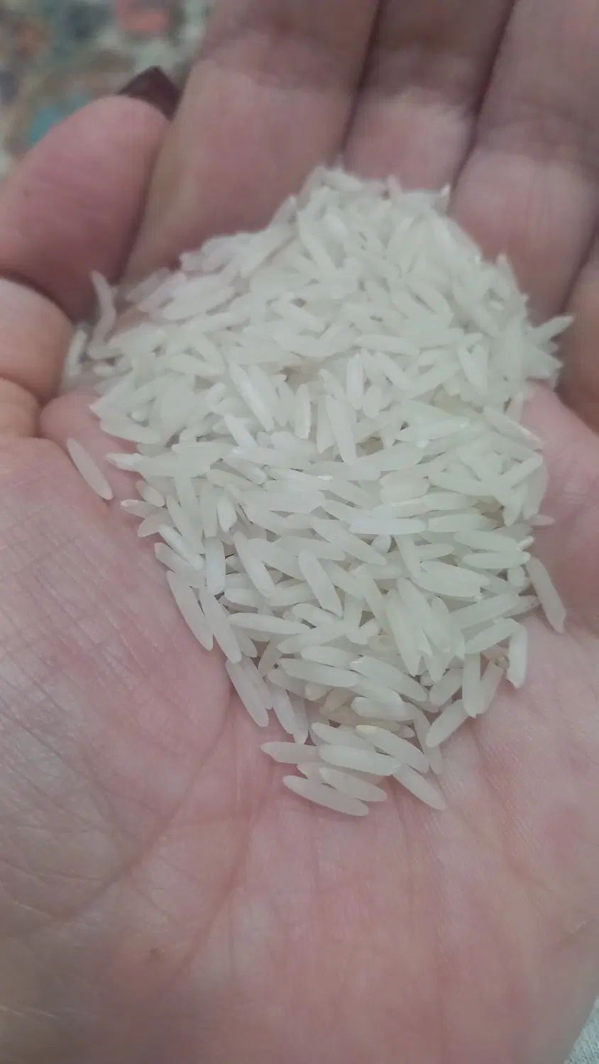 برنج دمسیاه آستانه اشرفیه به شرط|خوردنی و آشامیدنی|تهران, تهرانپارس شرقی|دیوار