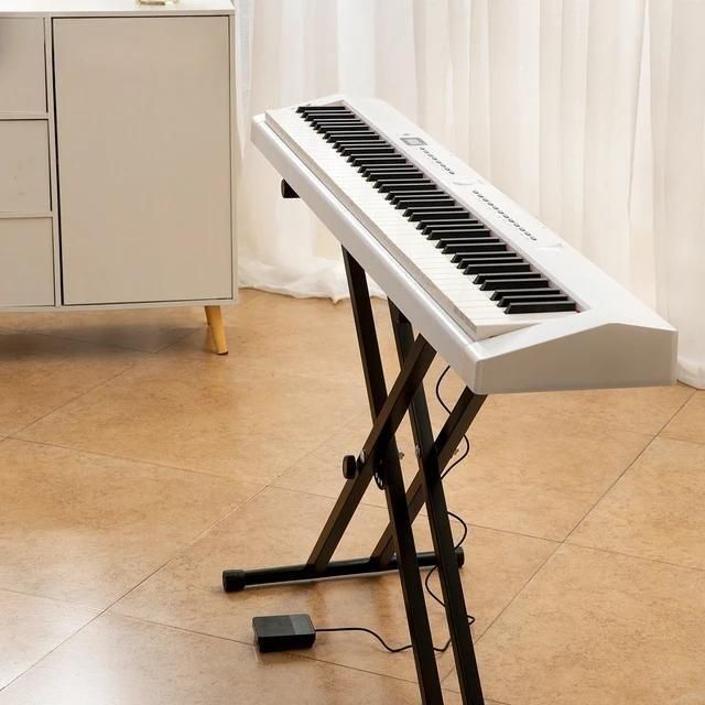 پیانو تاشو|پیانو، کیبورد، آکاردئون|تهران, جمهوری|دیوار