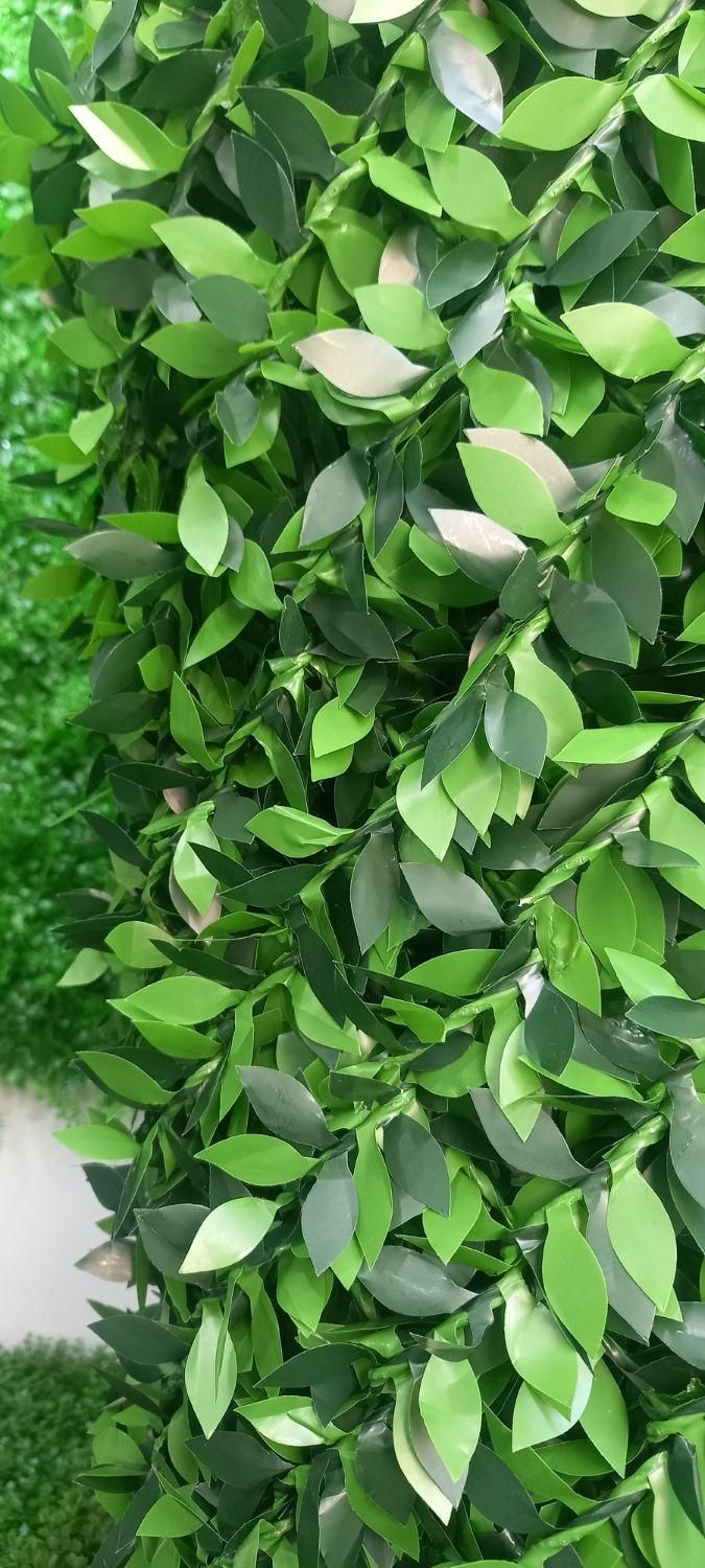 فنس برگ ریحون فنس چمنی برگی عمده|مصالح و تجهیزات ساختمان|شهریار, کردزار|دیوار