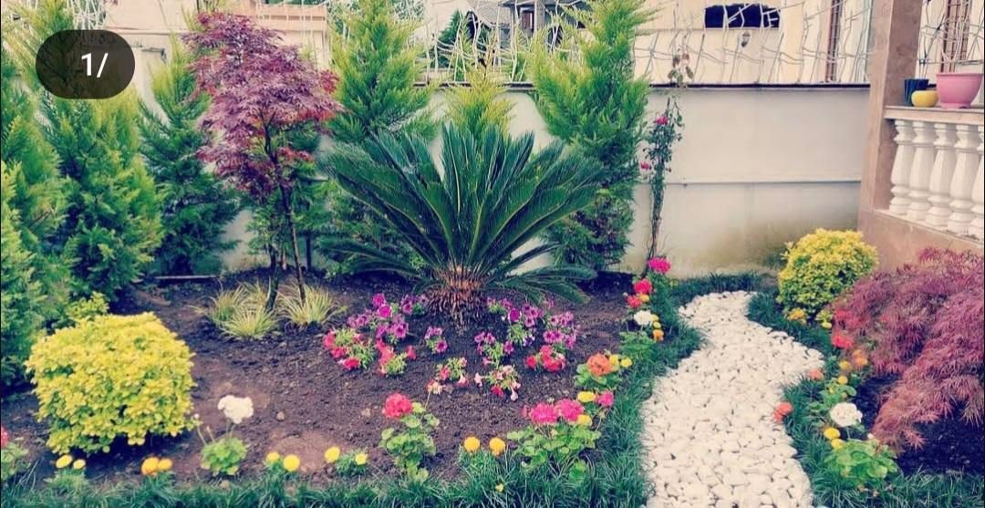 باغبانی هرس درخت گل ،چمن،سم پاشی،کودضمانت باغبان|خدمات باغبانی و درختکاری|کرج, گلشهر|دیوار