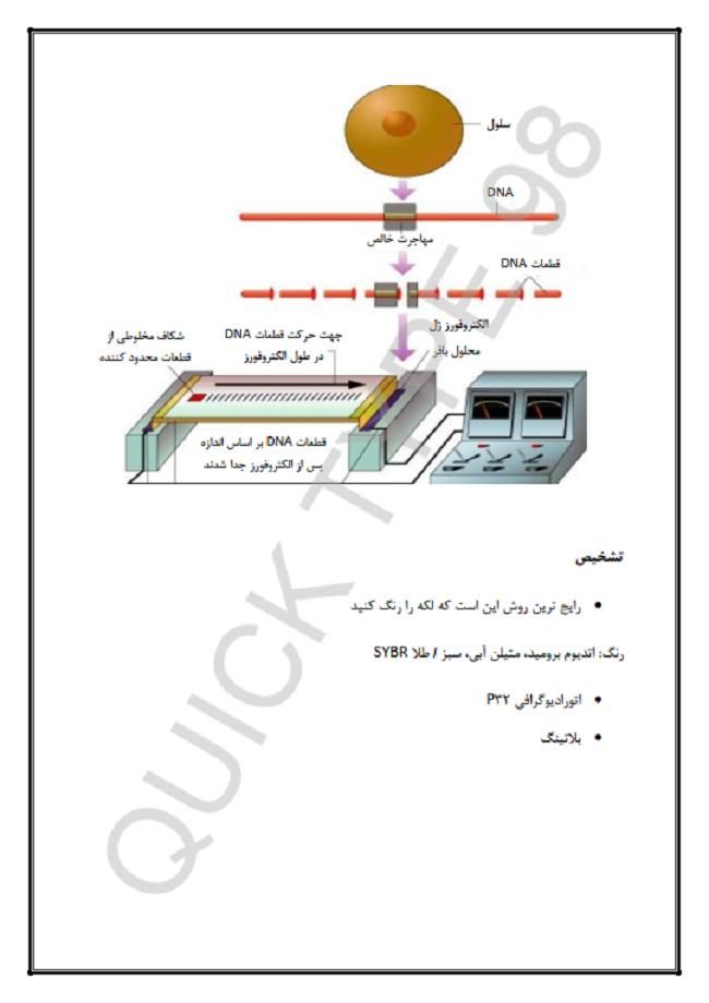 تایپ انواع متون و ویس و ترجمه و پاورپوینت و اکسل|خدمات رایانه‌ای و موبایل|کرمان, |دیوار