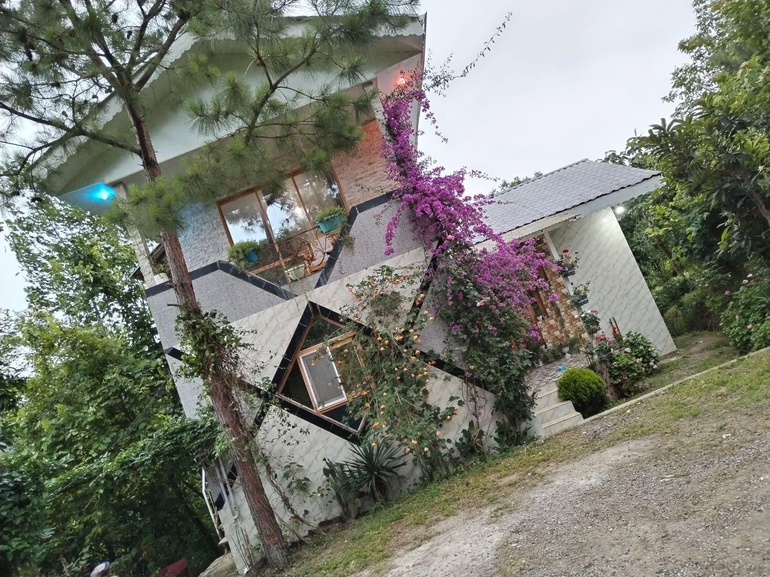 سوییت جنگلی جاده امامزاده ابراهیم|اجارهٔ کوتاه‌مدت آپارتمان و سوئیت|رشت, لاکان|دیوار