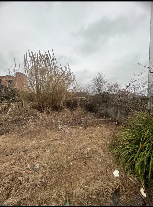 زمین مسکونی ۱۸۷متر سند تک برگ کیاکلا|فروش زمین و ملک کلنگی|کیاکلا, |دیوار