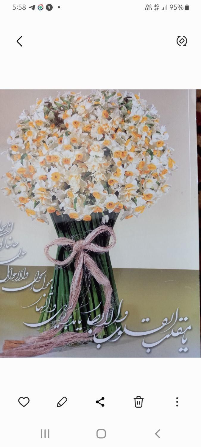 دارالترجمه پارامونت (خانه ترجمه)|خدمات پیشه و مهارت|شیراز, احمدی جنوبی|دیوار