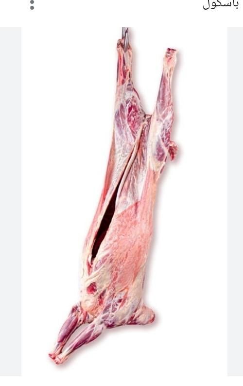 قصاب|خدمات پذیرایی، مراسم|کرمان, |دیوار