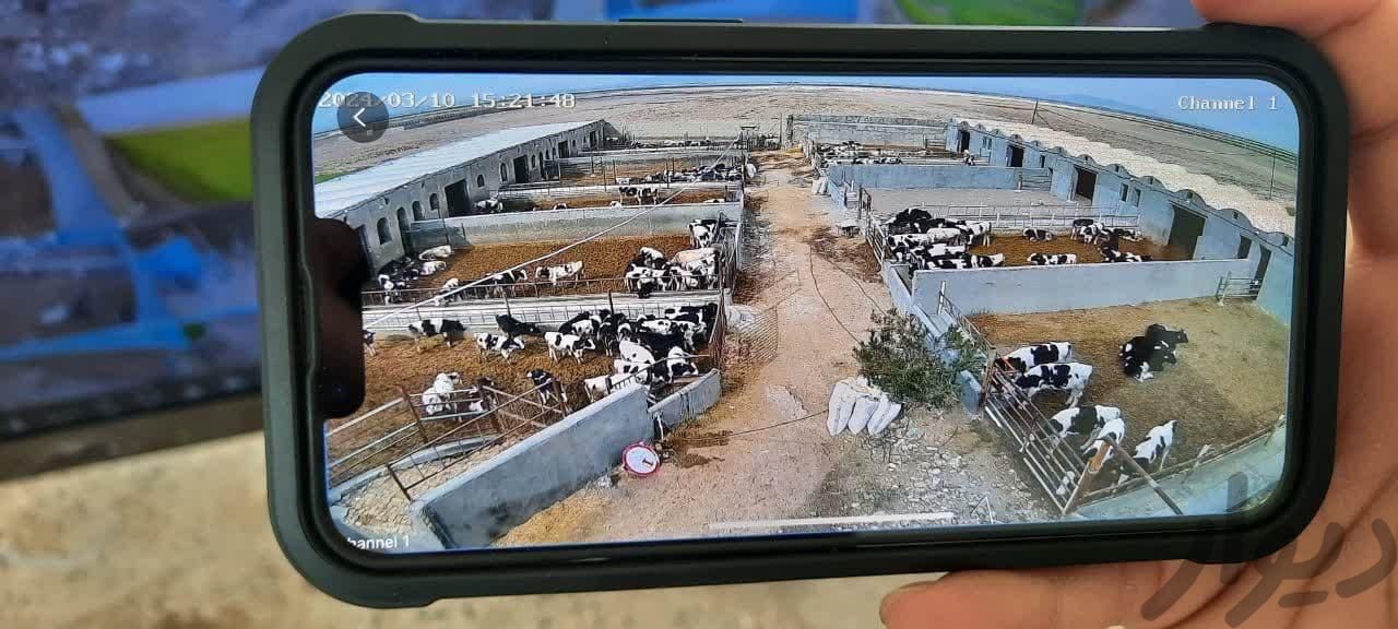 دوربین مداربسته پیشرفته و پلاک خوان|دوربین مداربسته|قم, شهید بهشتی|دیوار