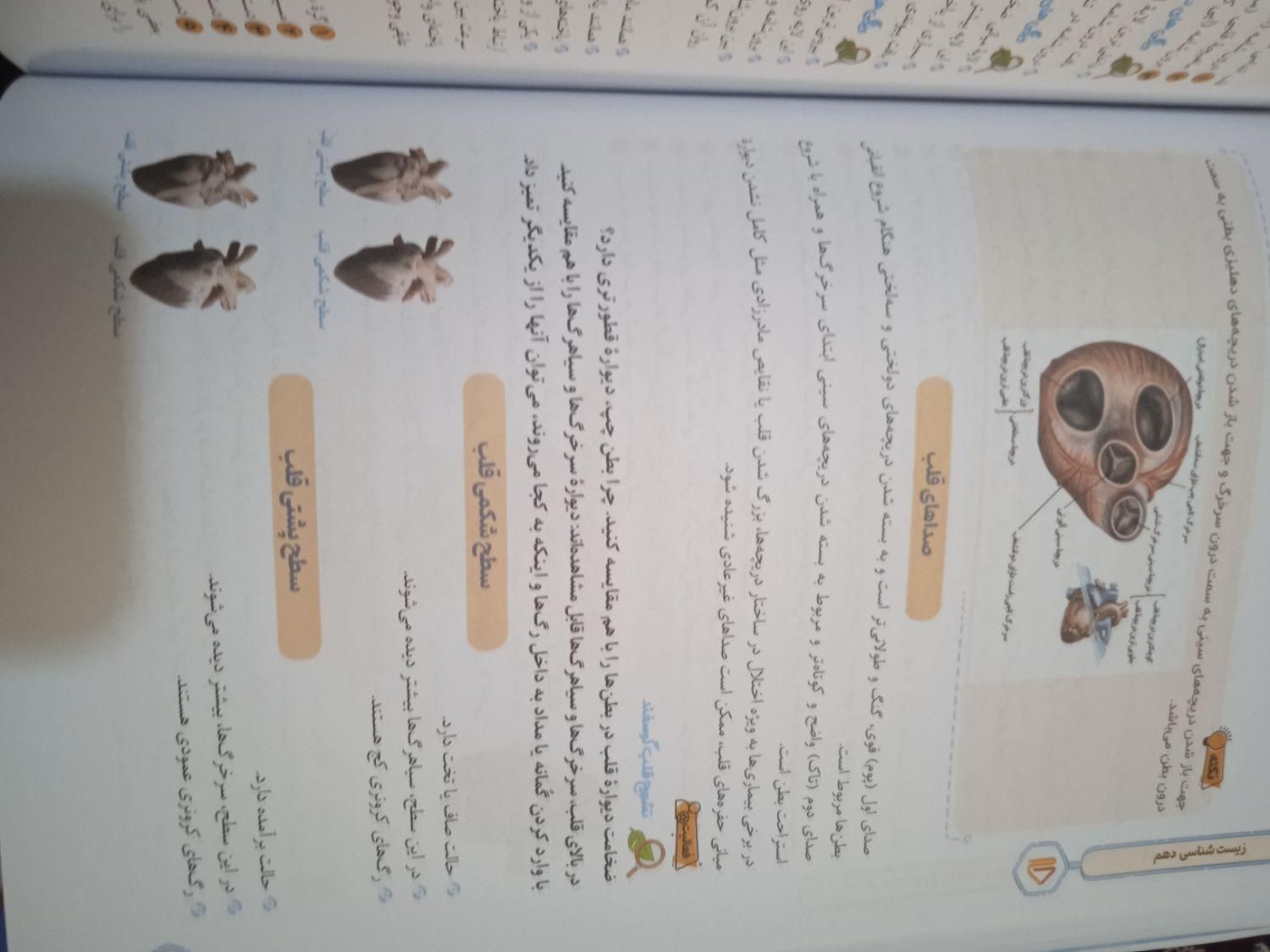 بسته پرش دهم تجربی اختصاصی|کتاب و مجله آموزشی|تهران, خانی‌آباد نو|دیوار