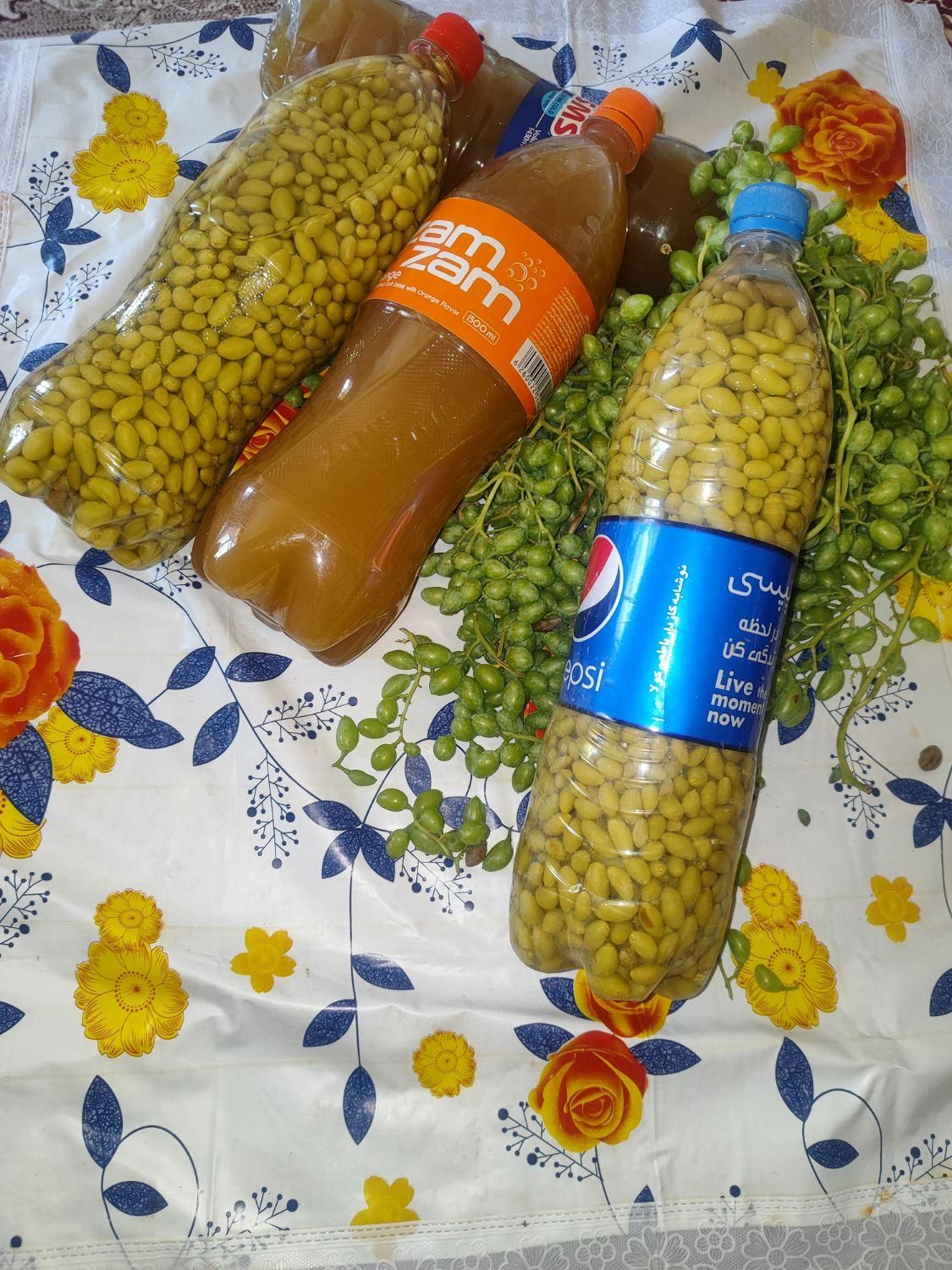 تار   آ ب|سازهای سنتی|سرپل ذهاب, |دیوار
