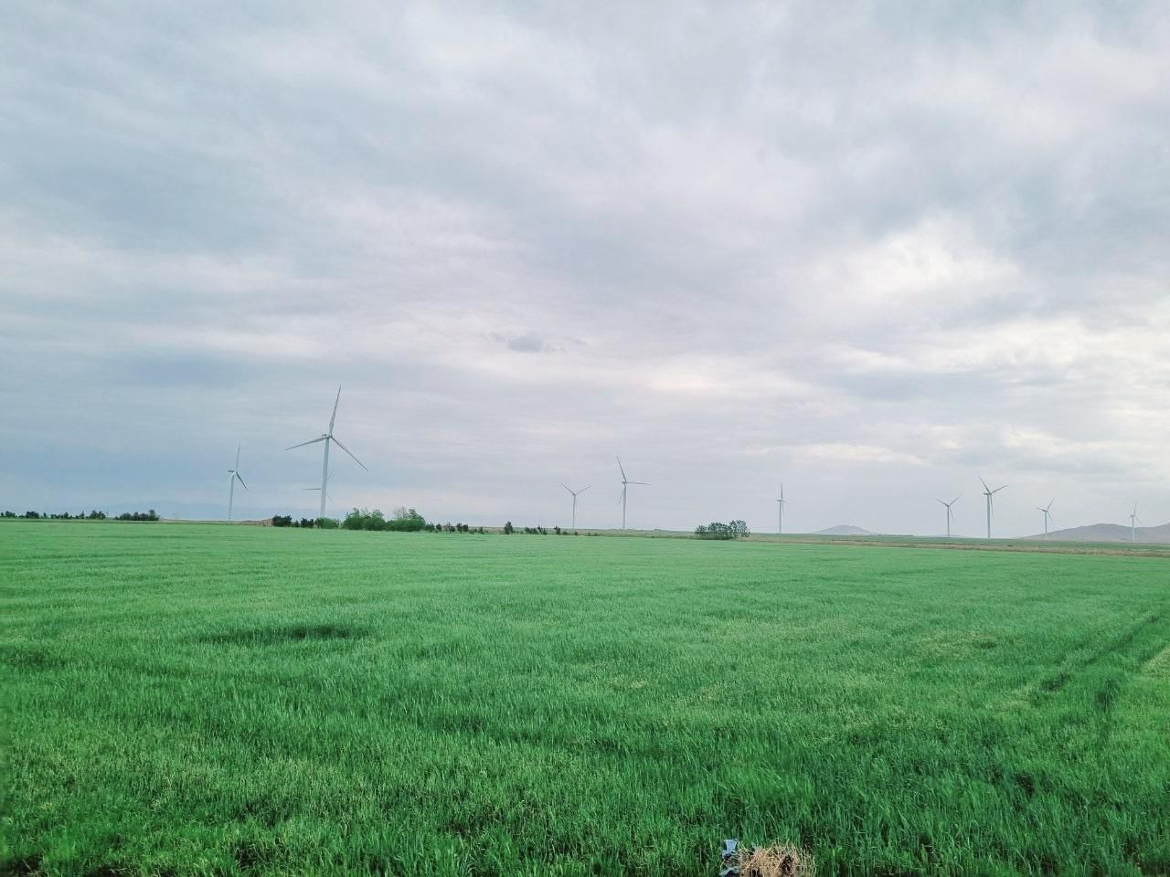 ده هزار مترمربع زمین کشاورزی باغی|فروش دفتر صنعتی، کشاورزی، تجاری|صباشهر, |دیوار