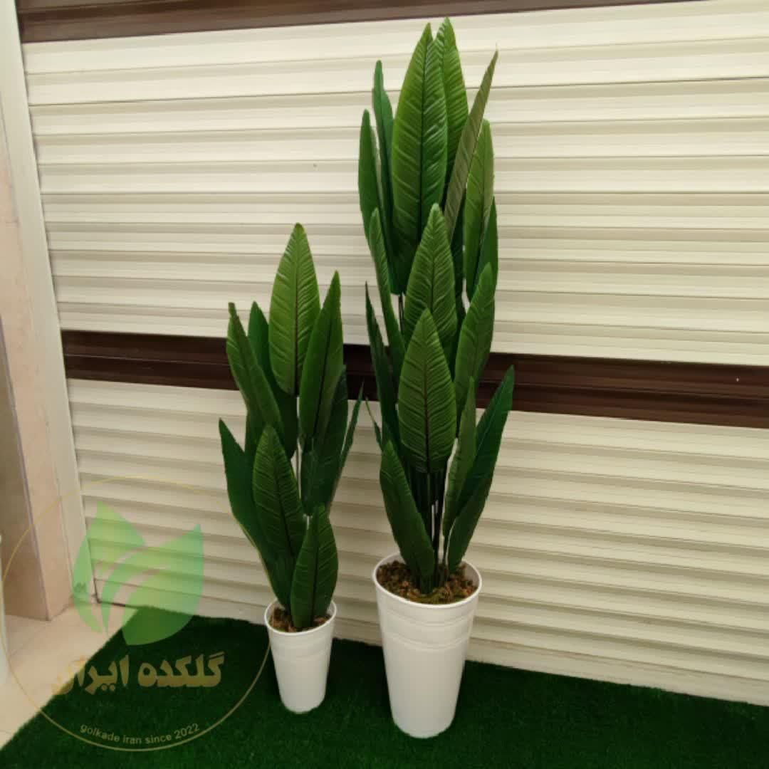 درختچه پرنده بهشتی|گل مصنوعی|قم, نیروگاه|دیوار