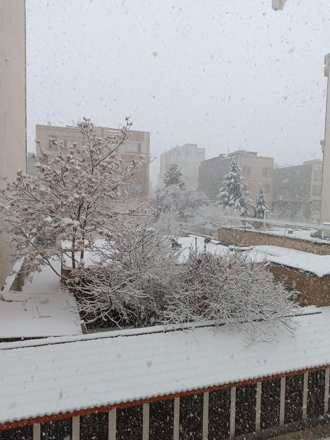 فروش ویلایی دربست ۸۰ متری در هفت تیر۳۵|فروش زمین و ملک کلنگی|مشهد, هفت تیر (حافظ)|دیوار