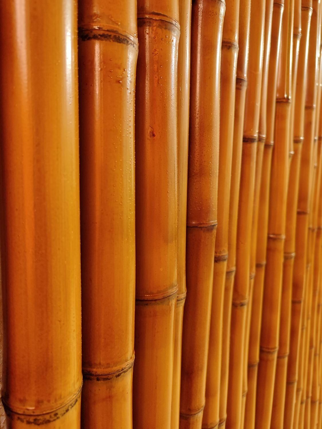 چوب بامبو های صادراتی قطر۵سانت|صنایع دستی و سایر لوازم تزئینی|تهران, هفده شهریور|دیوار